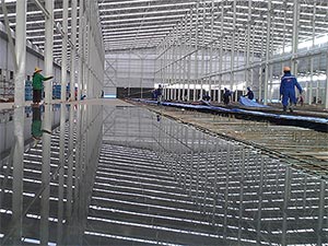 Wet curing